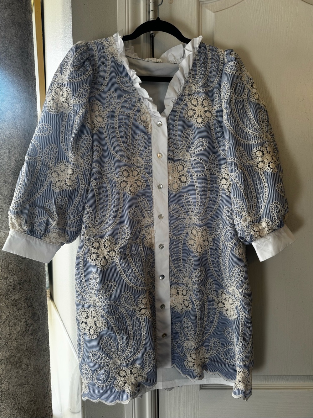 Blue Lace-Overlay Button-Front Dress